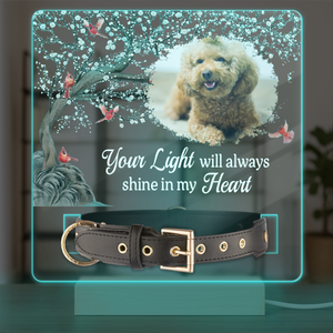 Custom Photo Your Light Will Always Shine In My Heart Memorial Acrylic Collar Frame TH10 894093