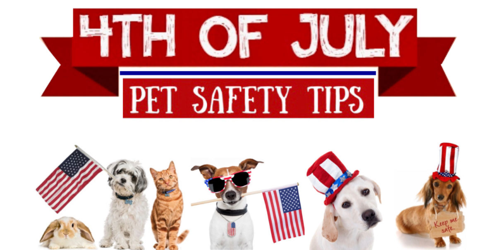 July 4th Pet Safety Guide: How To Keep Your Dog & Cat Safe During America's Biggest Birthday Celebration 🇺🇸🐾