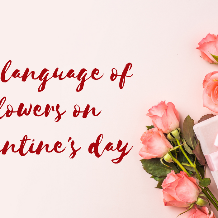 The language of flowers on Valentine's Day!