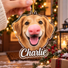 Custom Funny Dog Face Squishy Nose Acrylic Ornament, Christmas Gift For Dog Love LM32 670283
