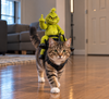 Funny Christmas Dog Rider Costume – Green Monster Riding Pet Outfit TH10 171413