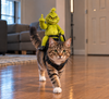 Funny Christmas Dog Rider Costume – Green Monster Riding Pet Outfit TH10 171413