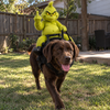 Funny Christmas Dog Rider Costume – Green Monster Riding Pet Outfit TH10 171413