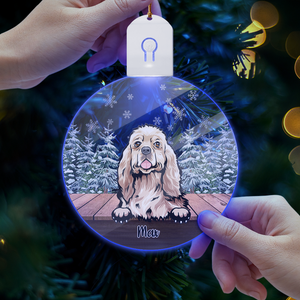 Personalized Dog For Christmas Led Ornament TH10 892163