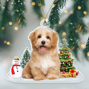 Custom Photo Dog, Cat Christmas Acrylic Ornament HA75 891410