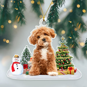 Custom Photo Dog, Cat Christmas Acrylic Ornament HA75 891410