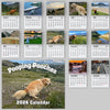 2026 Pooping Pooches Funny Dog Wall Calendar, White Elephant Gag Gift LM32 897307