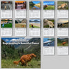 2026 Dogs Pooping In Beautiful Places Calendar TH10 896705