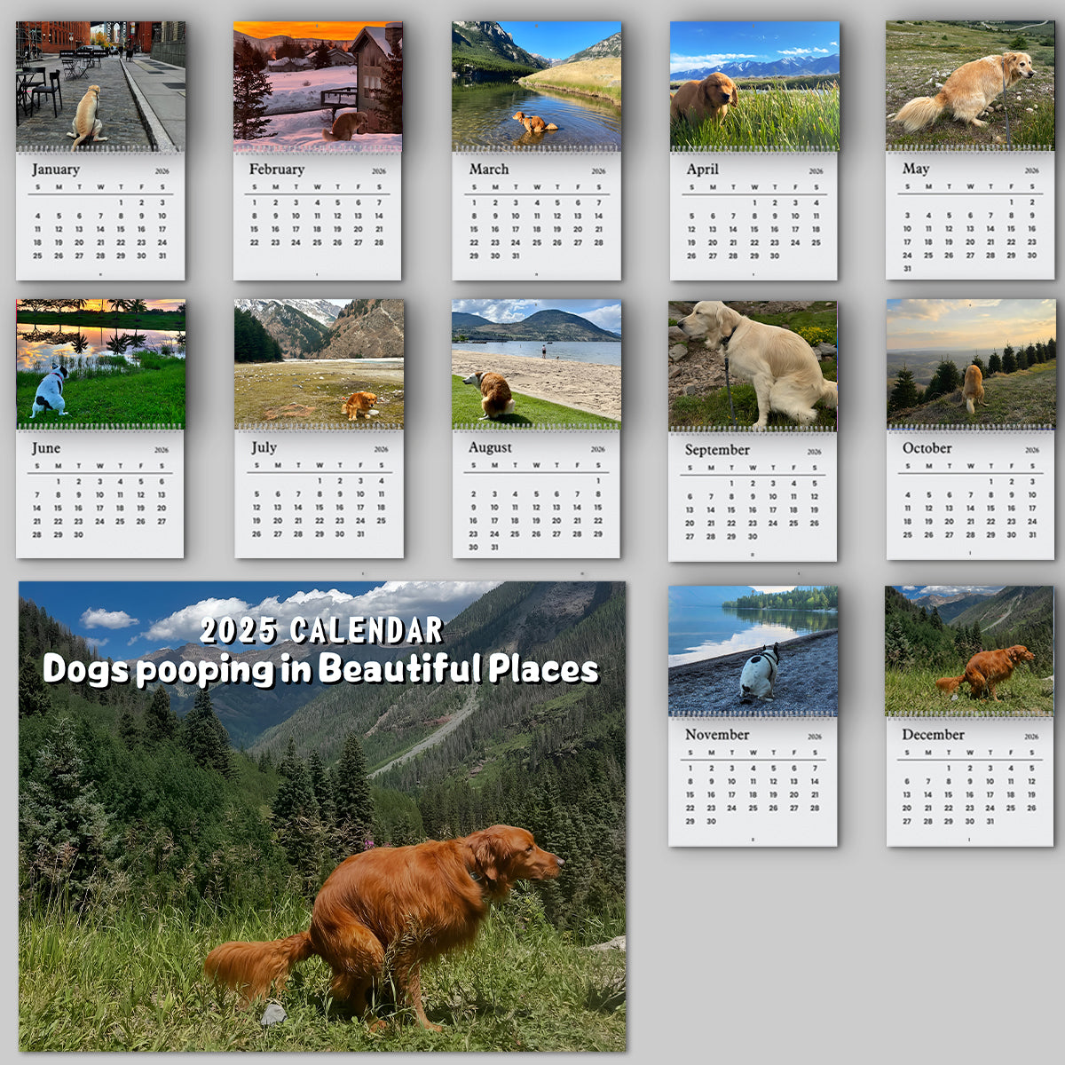 2026 Dogs Pooping In Beautiful Places Calendar TH10 896705