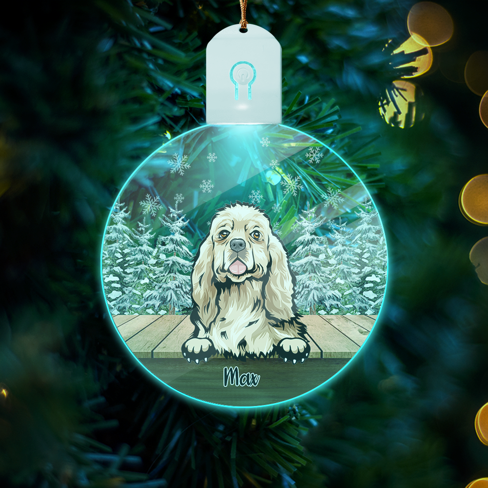 Personalized Dog For Christmas Led Ornament TH10 892163