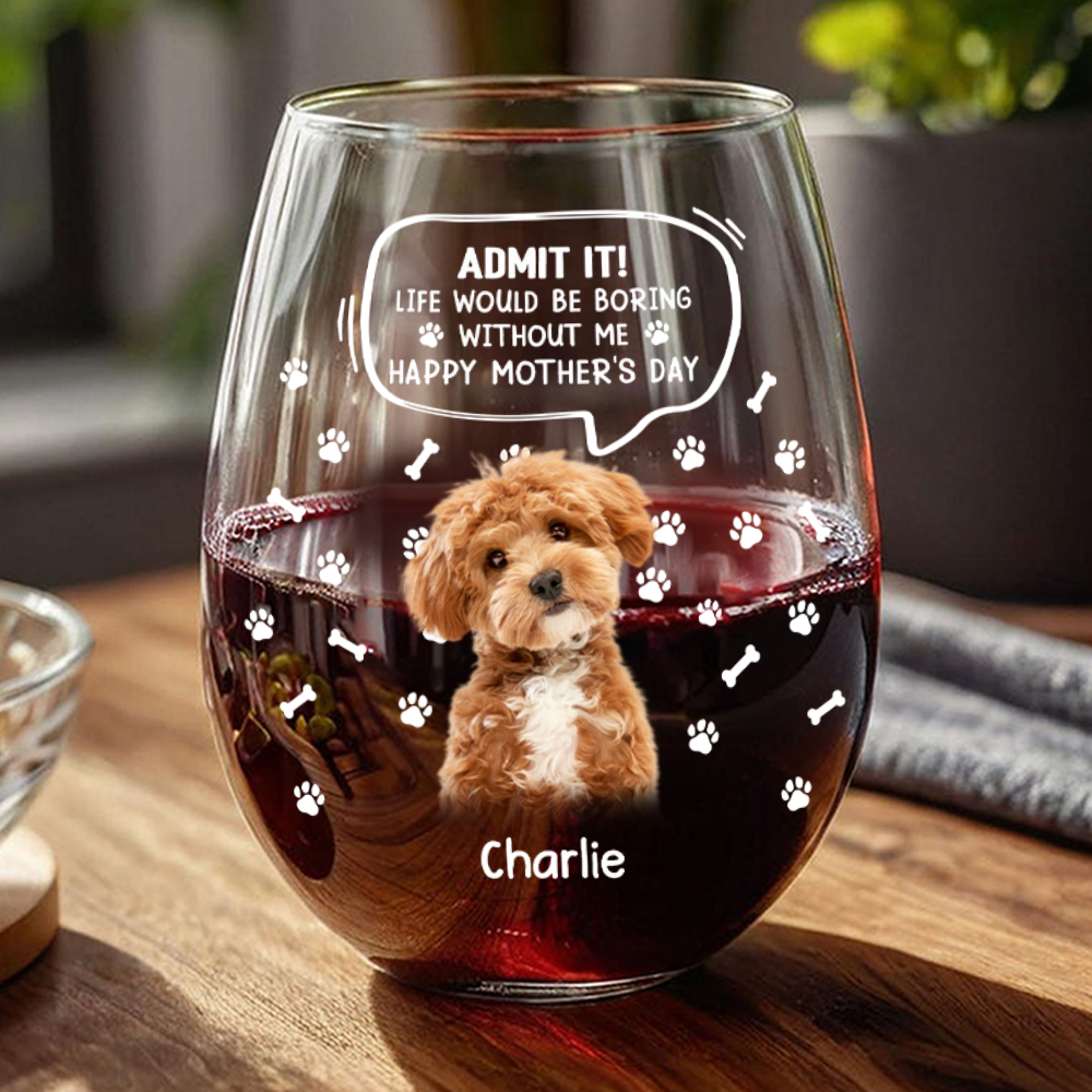 Custom Photo Life Would Be Boring Without Me Dog Cat Wine Glass HA75 892028