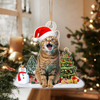 Custom Photo Cat Christmas Acrylic Ornament For Cat Lovers HA75 897282