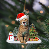 Custom Photo Cat Christmas Acrylic Ornament For Cat Lovers HA75 897282