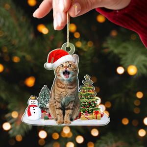 Custom Photo Cat Christmas Acrylic Ornament For Cat Lovers HA75 897282