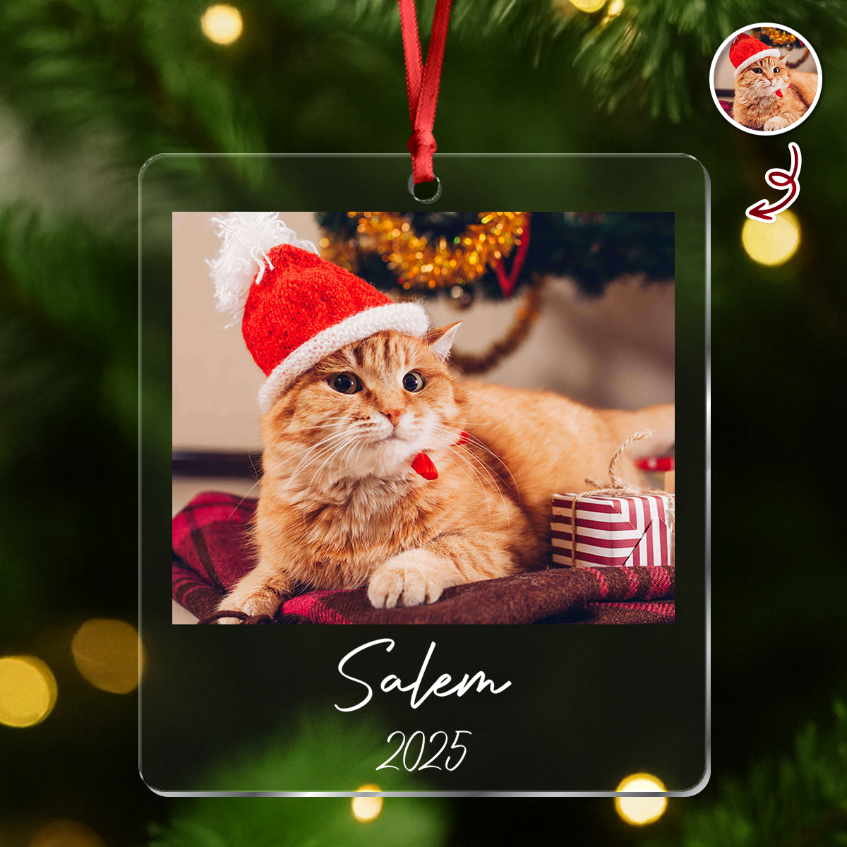Custom Cat Photo Acrylic Ornament Christmas Gift For Cat Lovers LM32 895771