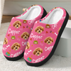 Custom Photo With Paw And Bowl Pattern Dog Cat Plush Slippers HO82 900304