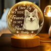 Custom Photo Memorial Once By My Side Forever In My Heart Engraved Crystal Ball LED Night Light HO82 901418