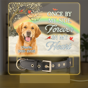 One By My Side Forever In My Heart Custom Dog Cat Memorial Photo Acrylic Collar Frame CH07 896088