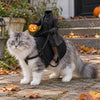 Halloween Horseman Pet Rider Costume, Pumpkin Knight Gothic Cat Outfit LM32 670247