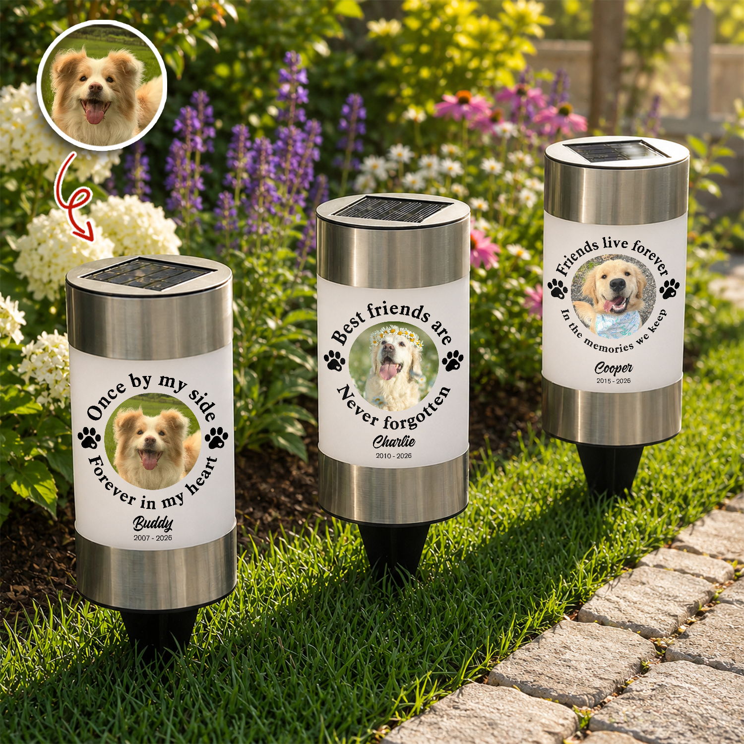 Custom Photo You Would Have Lived Forever - Memorial Personalized Solar Garden Light HA75 921754