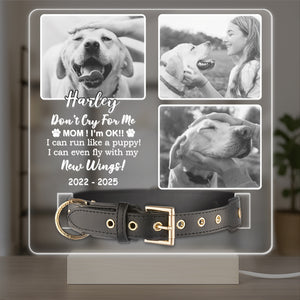 Custom Photo Don't Cry For Me Memorial Acrylic Collar Frame TH10 894109