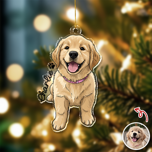 Custom Cute Dog Photo Portrait Christmas Decoration Acrylic Ornament LM32 895713