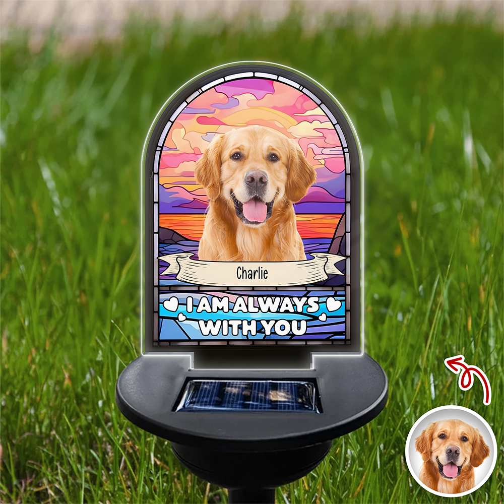 Custom Dog Cat Photo I'm Always With You Memorial Solar Light TH10 896055