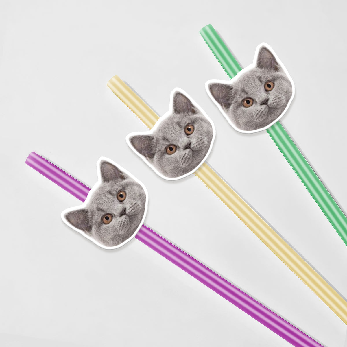 Custom Photo Funny Dog Cat Face Personalized Colorful Straws Birthday Party Decoration LM32 897613