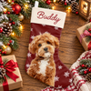 Personalized Dog Photo And Name Christmas Stocking, Holiday Decoration Gift LM32 670479