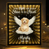 Custom Photo Dog Cat Pet Your Light Will Always Shine In My Heart Memorial Infinity Mirror Light Box HO82 901626