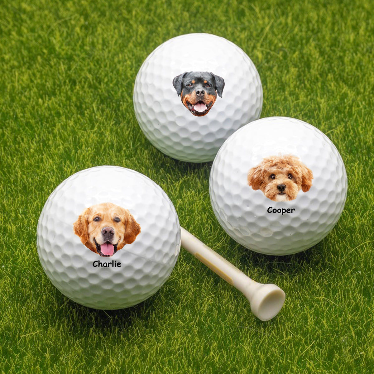 Custom Dog Photo And Name Golf Ball For Golf Lovers TH10 898225
