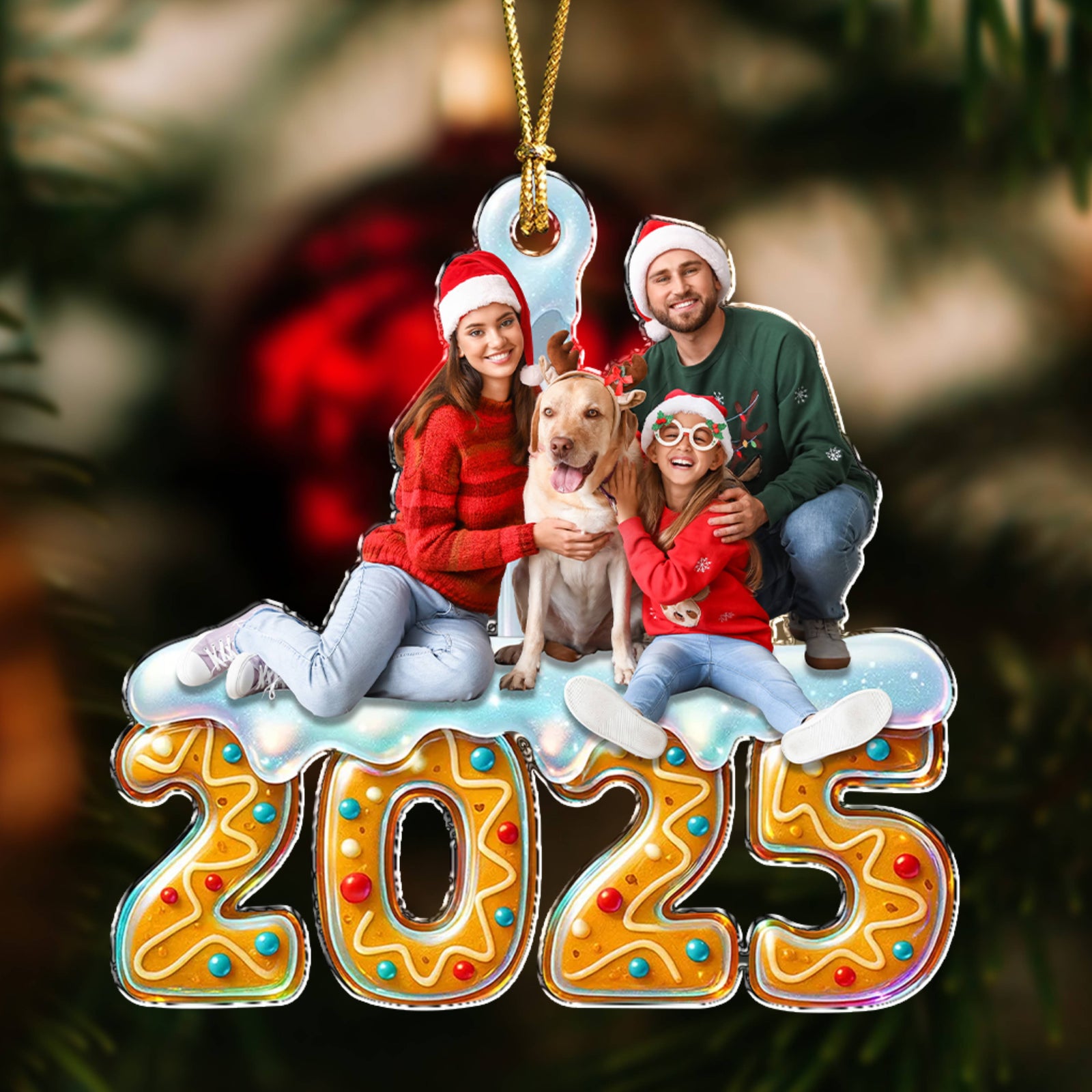 Custom Family Photo Acrylic Ornament Christmas Gifts HA75 897918