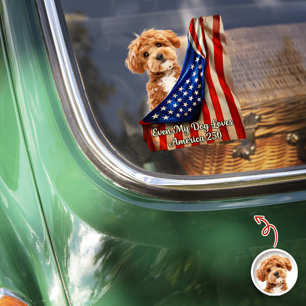 Custom Photo Even My Dogs Love America 250 Car Window Decal Sticker HA75 920516