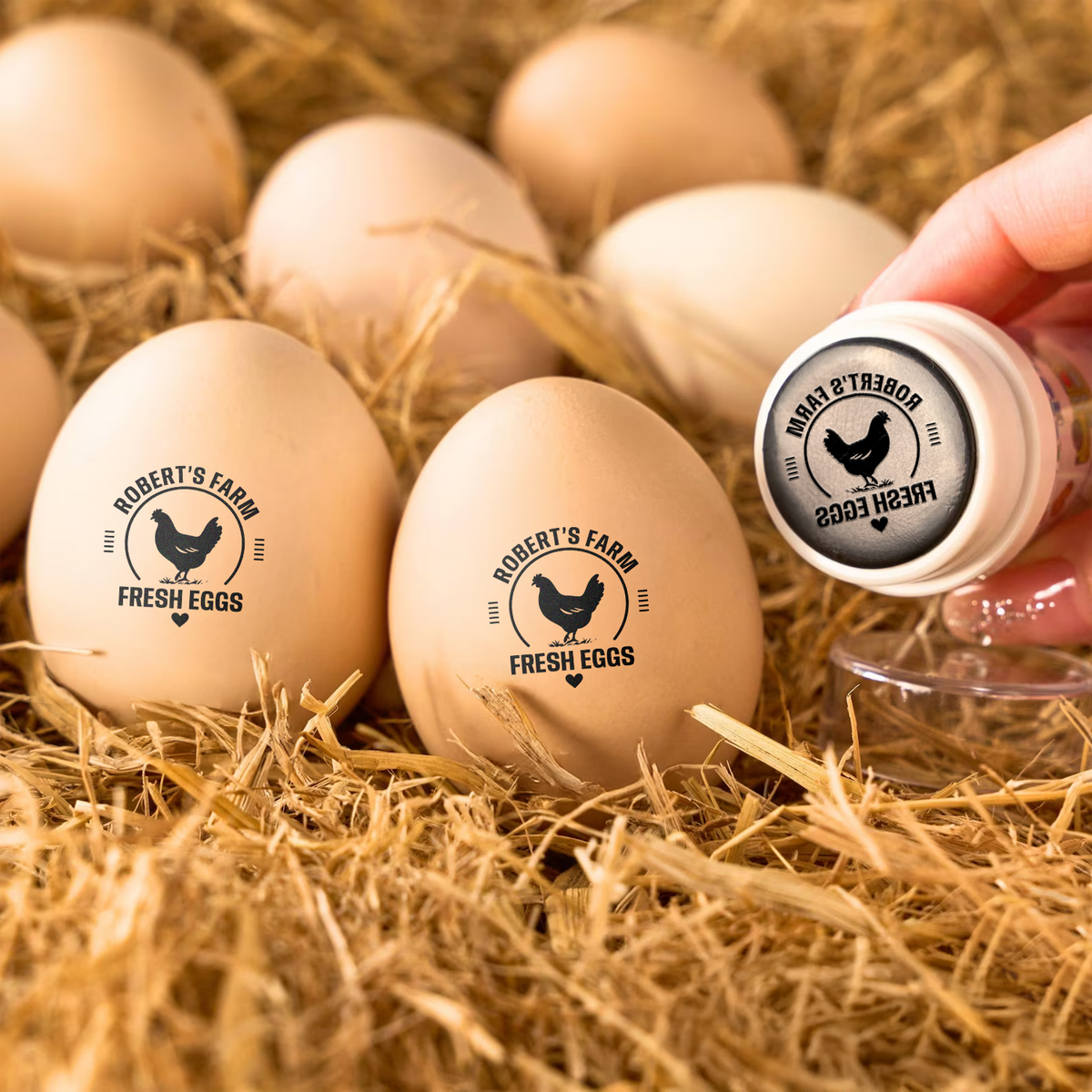 Personalized Chicken Egg Stamp for Farm Fresh Eggs Cute Coop Gift for Homesteaders CH07 910026
