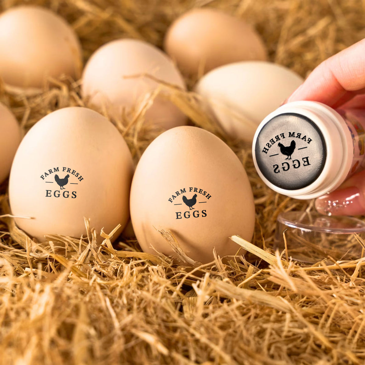 Personalized Hen Silhouette Egg Stamp with Name Gift for Family Farmer Breeder CH07 896560