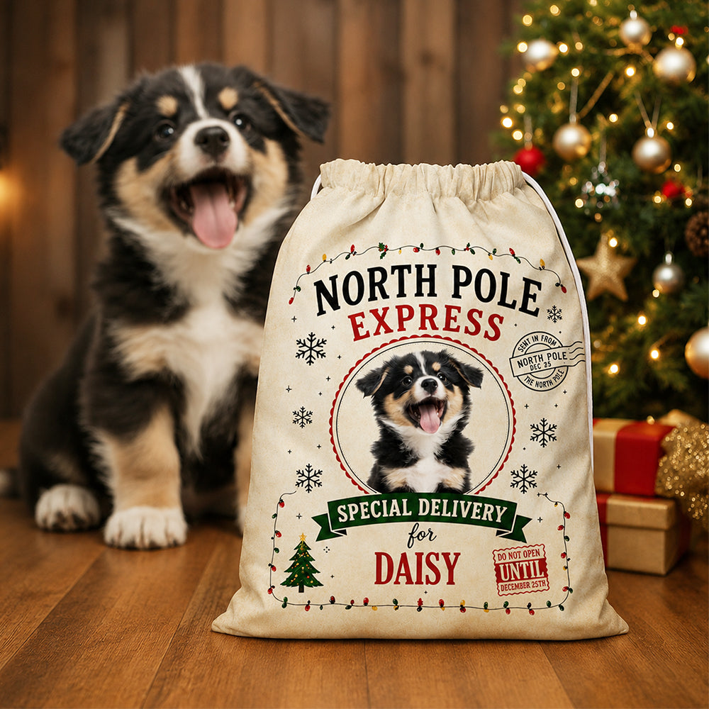 Personalized Dog Photo North Pole Express Christmas Santa Sack For Dog Mom Dad CH07 180452