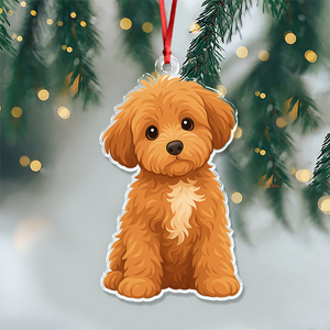 Custom Dog Cat Cartoon Photo Decor Acrylic Ornament LM32 893807