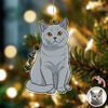 Custom Cute Cat Photo Portrait Christmas Decoration Acrylic Ornament LM32 895715