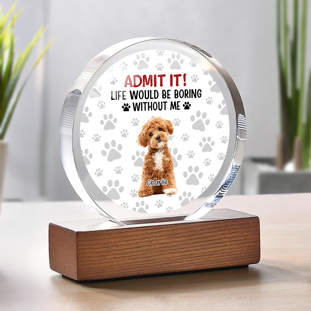 Custom Dog Cat Photo Life Would Be Boring Without Me Round Acrylic Frame Block TH10 894061