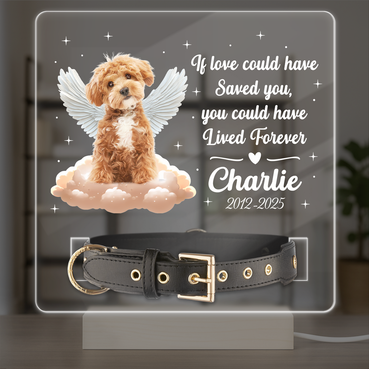 Custom Photo Dog Loss Memorial Acrylic Collar Frame CH07 896072