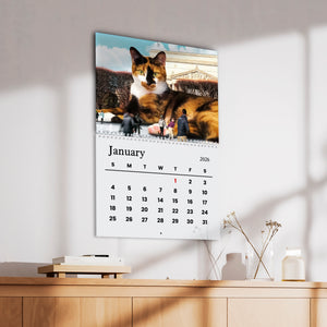 Funny Lazy Cats Wall Calendar 2026 For Cat Lovers LM32 897309