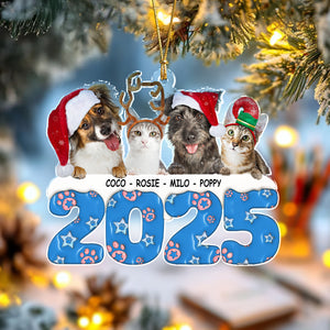 Custom Photo Acrylic Ornament Christmas Gifts For Dog Cat Lovers HA75 898200