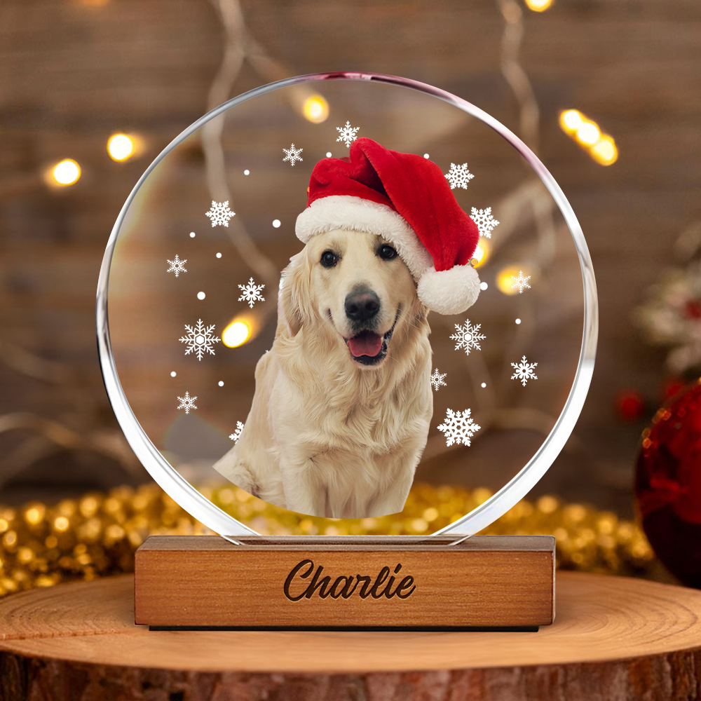 Custom Photo With Snowflake For Pet Lover Round Acrylic Frame Block TH10 894313