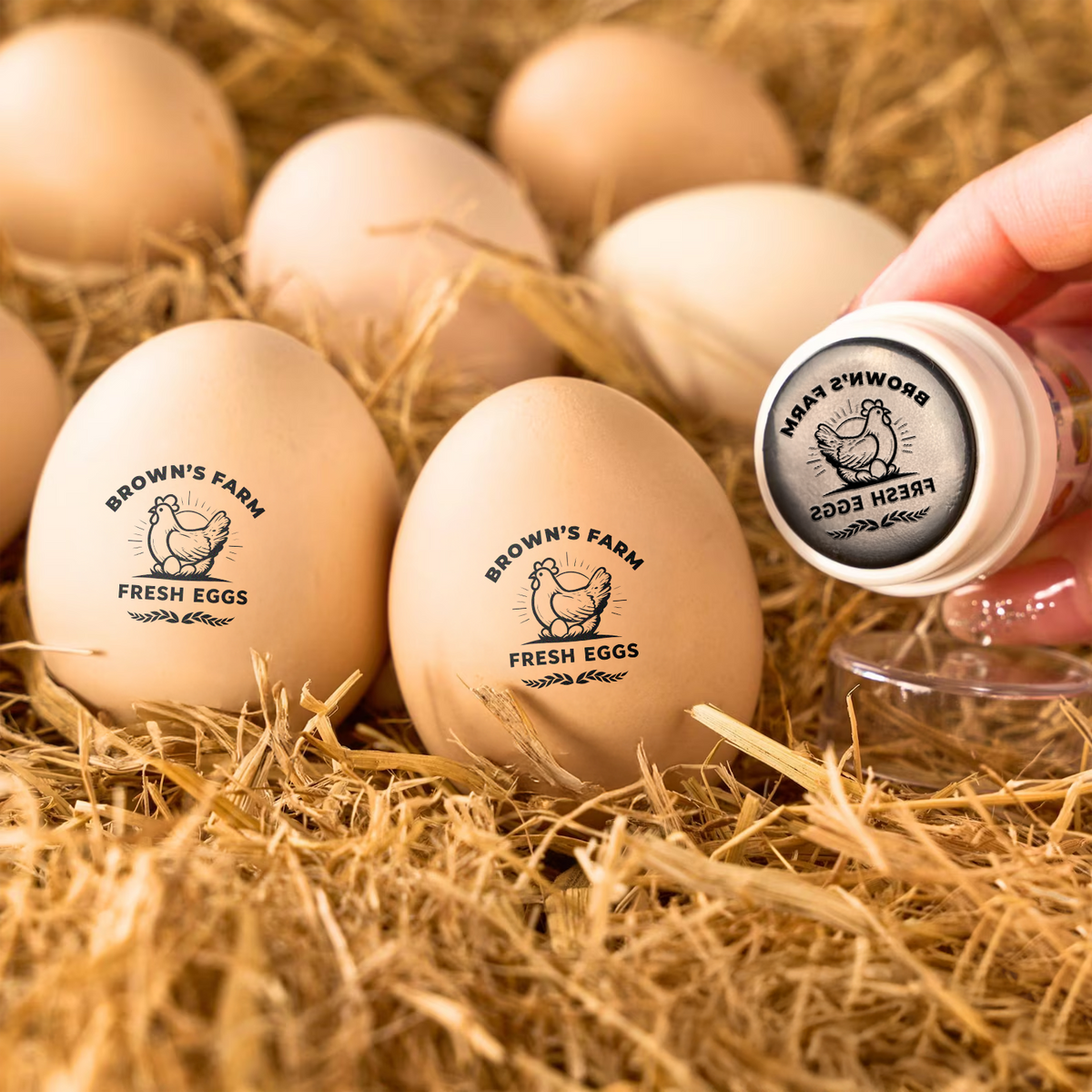 Personalized Chicken Egg Stamp for Farm Fresh Eggs Cute Coop Gift for Homesteaders CH07 910026