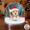 Custom Dog Photo Acrylic Snow Globe TH10 896501