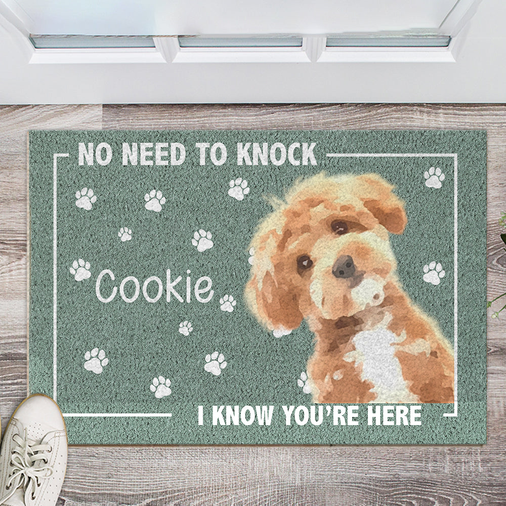 Custom Photo No Need To Knock, We Know You're Here Doormat For Dog Cat Lovers HA75 891936