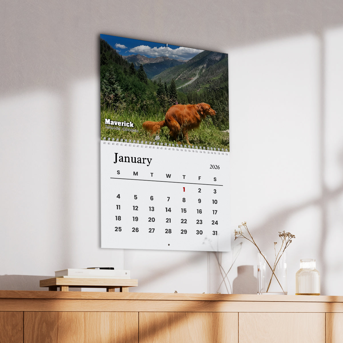 2026 Pooping Pooches Funny Dog Wall Calendar, White Elephant Gag Gift LM32 897307