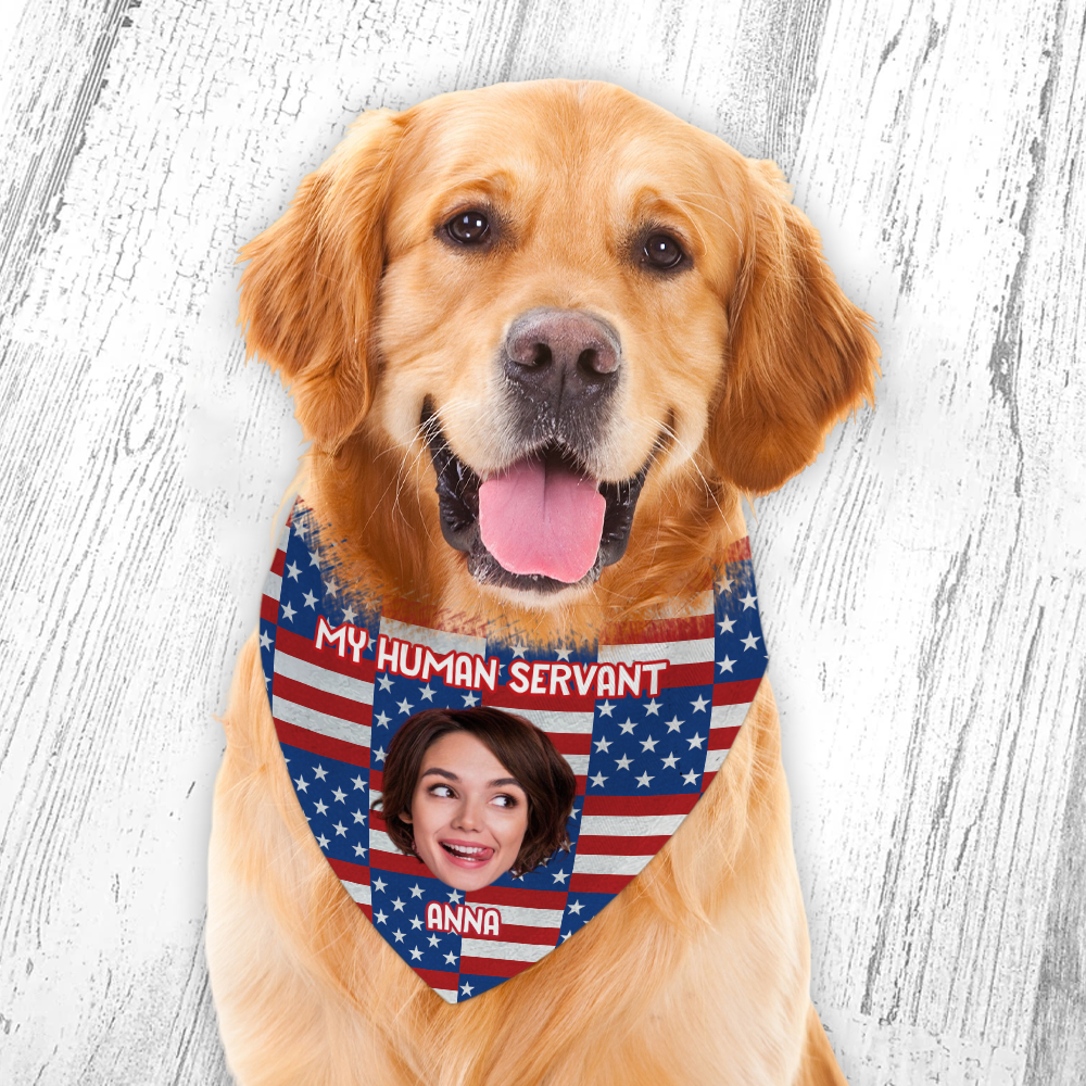 Custom Photo Patriotic Dog Personalized America Flag Bandana Dog Lovers Gifts CH07 896070