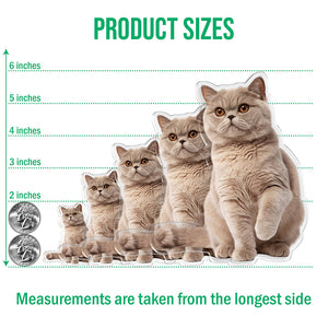 Custom Photo Cat Pet Personalized Acrylic Fridge Magnet For Cat Lovers HA75 897908