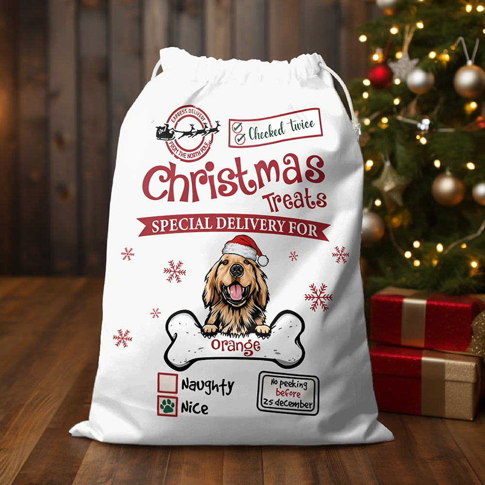 Christmas Treats Special Delivery For Dog Christmas Sack 896845